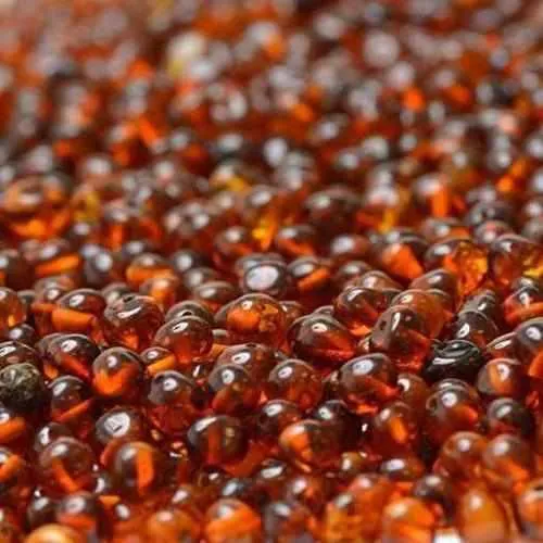 Adult Brandy Snap Cognac Baltic Amber Necklace
